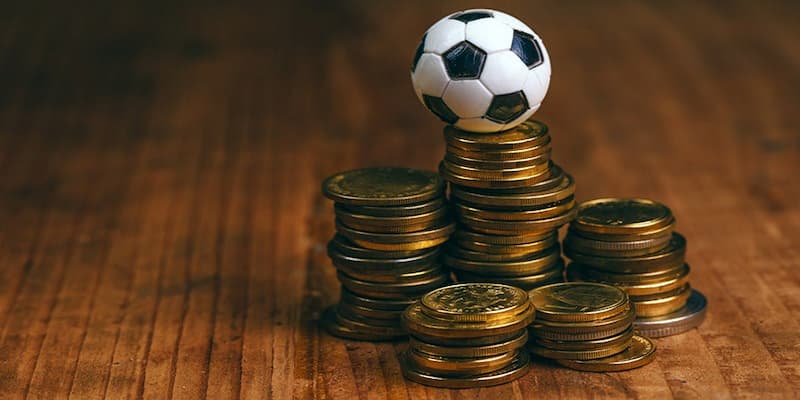 Các loại cá cược thể thao tại iwin